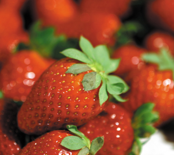 Albert Heijn inteligencia artificial fresa