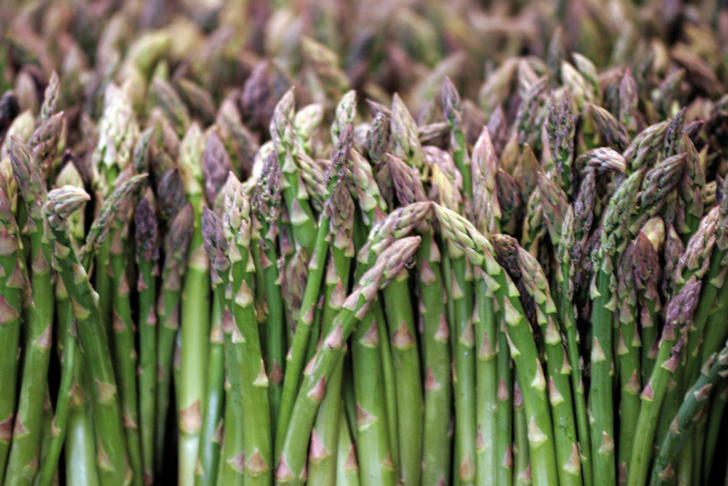 espárrago