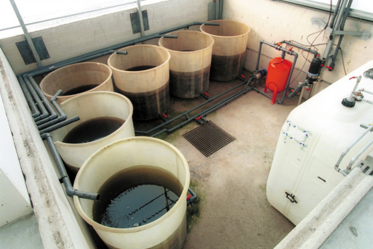 precios fertilizantes