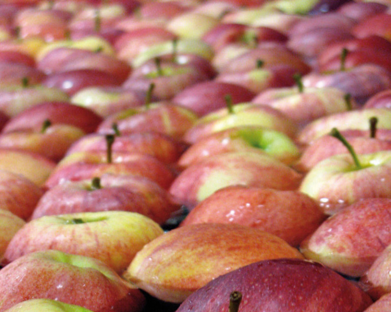 aranceles Trump fruta de Cataluña