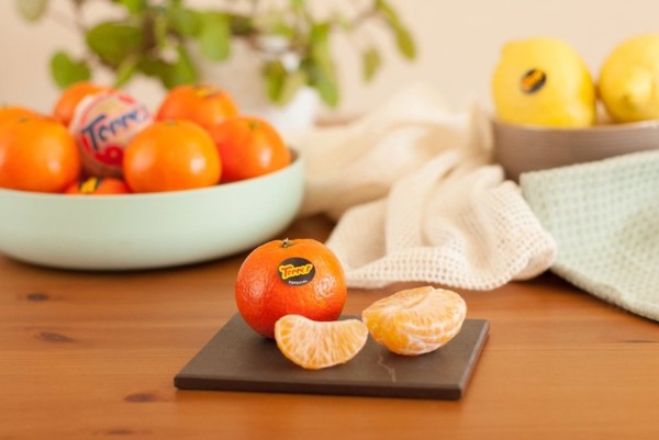 Naranjas Torres Sabor Año premio mandarinas