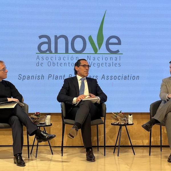 obtentores edición genética