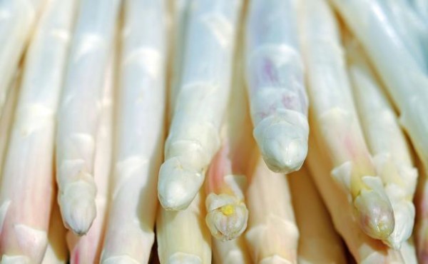 espárragos Alemania blanco precios