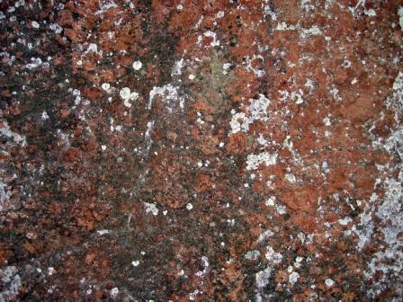 Marruecos fertilizantes fosfatos ingresos