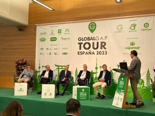 Carrefour sostenibilidad