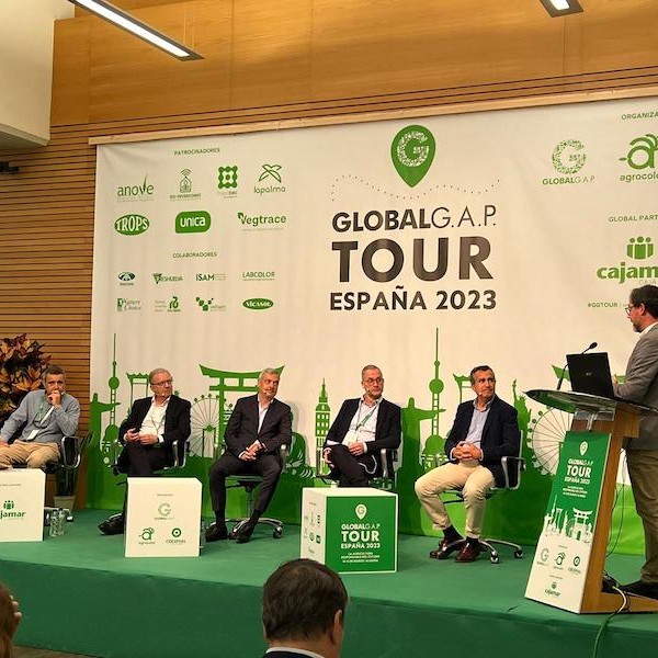 Carrefour sostenibilidad