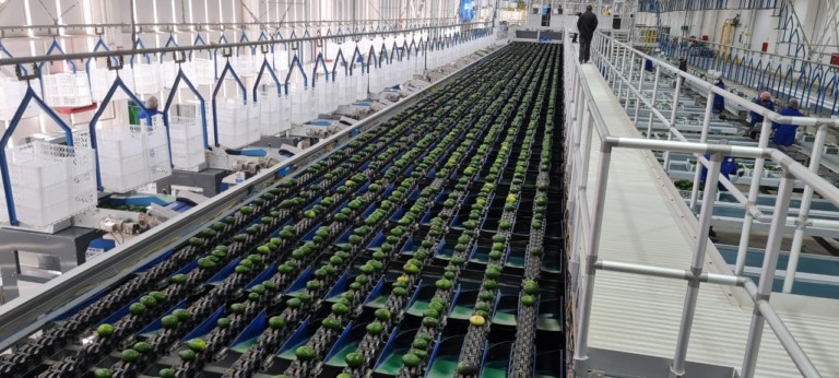 Tomra Food aguacate Congreso WAC postcosecha