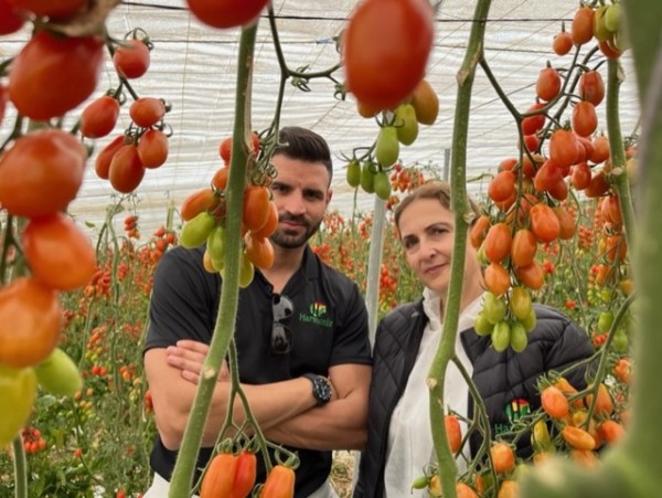 Harmoniz cherry Ultiplum España Albuñol