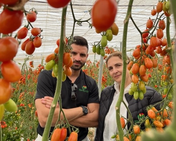 Harmoniz cherry Ultiplum España Albuñol