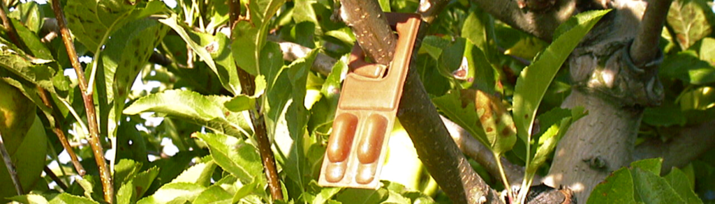 confusión sexual Navarra