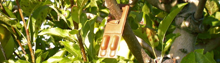 confusión sexual Navarra