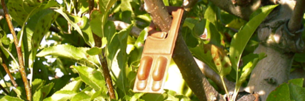 confusión sexual Navarra