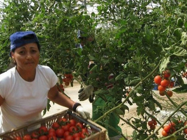 importación extraeuropea