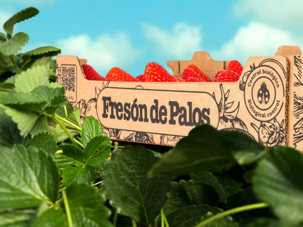 Koppert control plagas Fresón Palos fresa frambuesa arándano