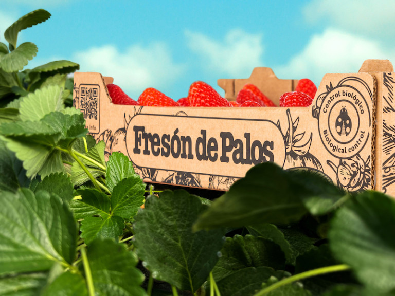 Koppert control plagas Fresón Palos fresa frambuesa arándano