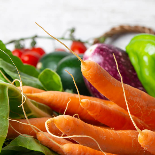 rebaja IVA alimentos