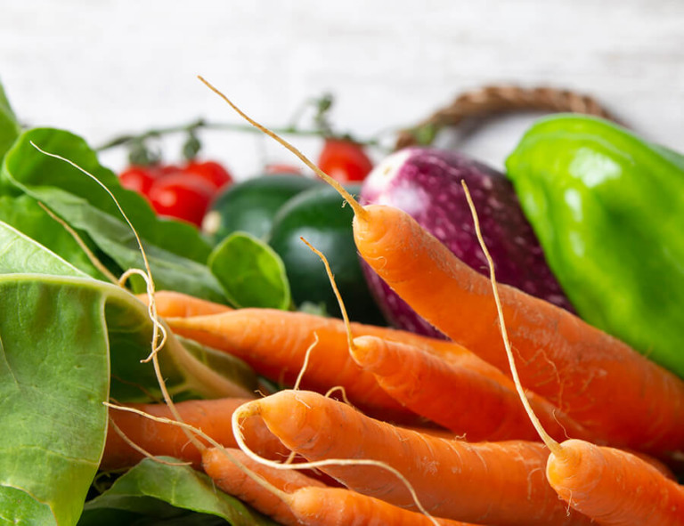 rebaja IVA alimentos