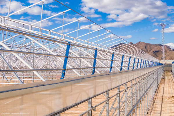 Novagric solución problemas instalación plásticos invernaderos