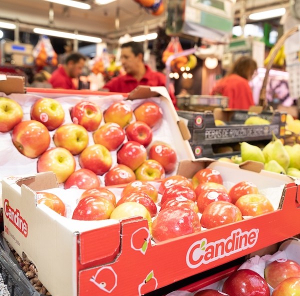 manzana manzanas Envy Candine ventas Blue Whale España