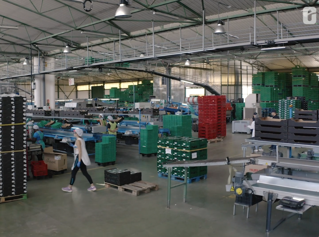 Ecoinver instalaciones Agrupaejido