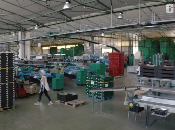 Ecoinver instalaciones Agrupaejido