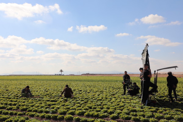 Florette campaña huerto casa