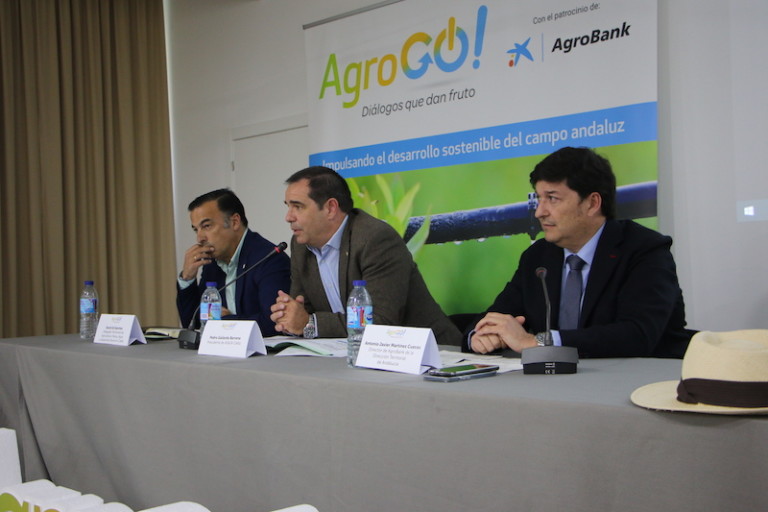 regadío andaluz expone pérdidas