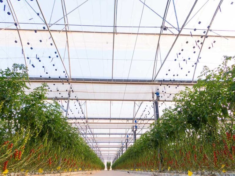 riego goteo agricultura Agrobank