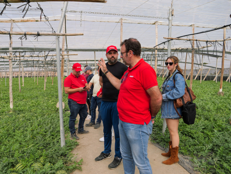 plan nutricional Brandt sandía Almería