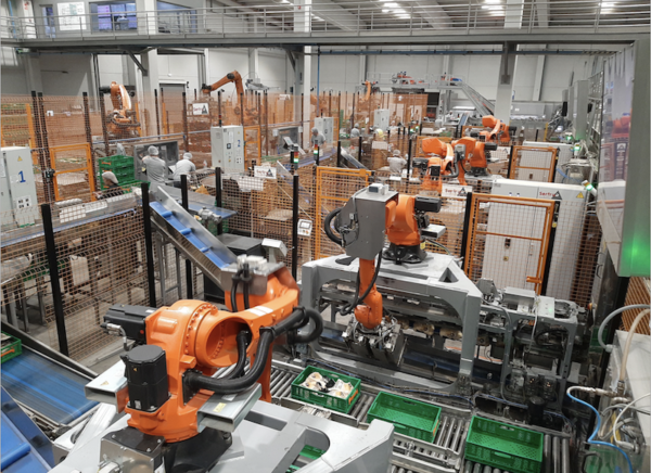 Patatas Hijolusa producción tecnología robótica