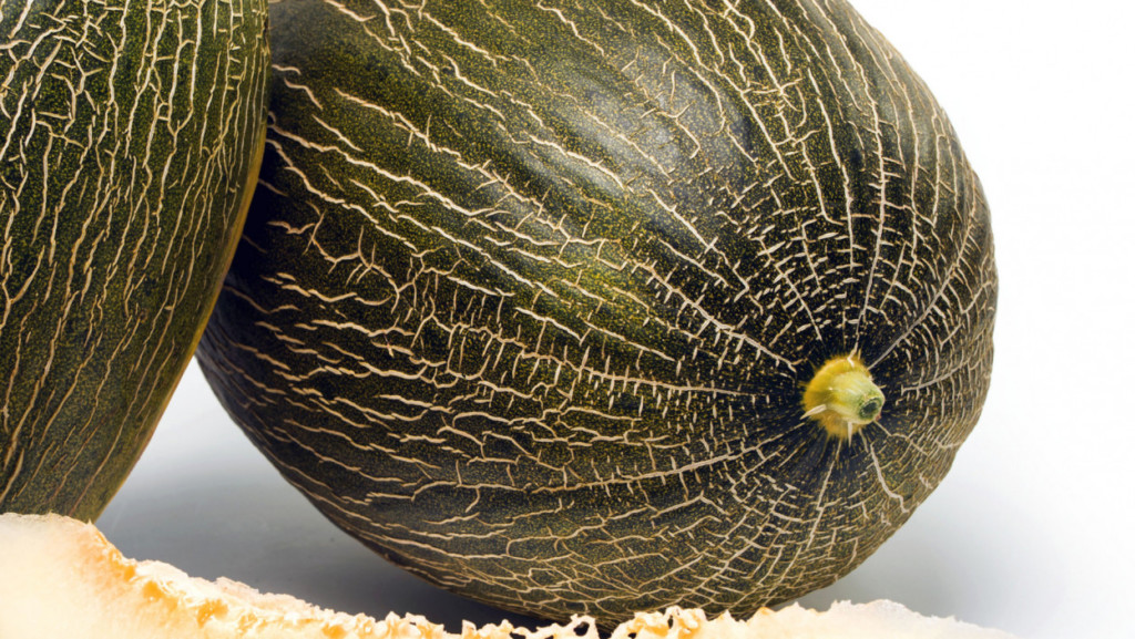 España melón