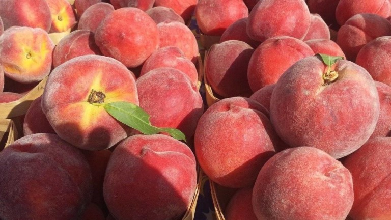 fruta de hueso Noruega