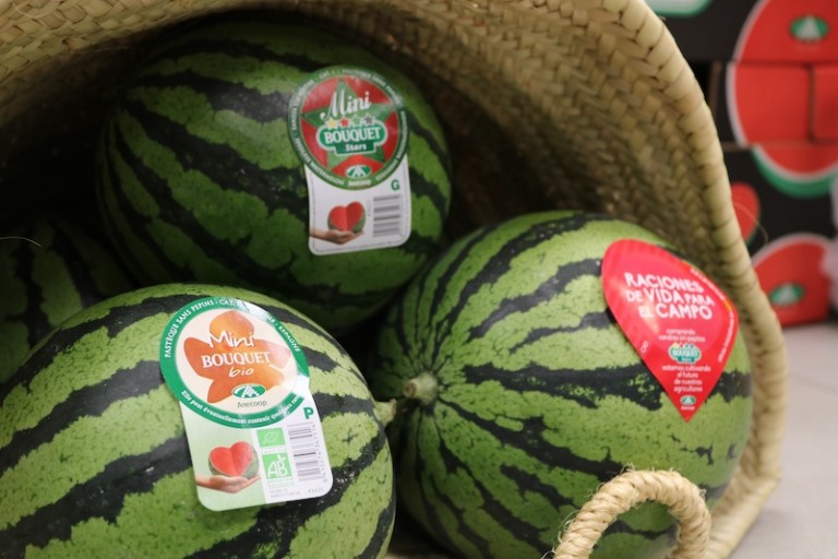 Sandía Bouquet Anecoop