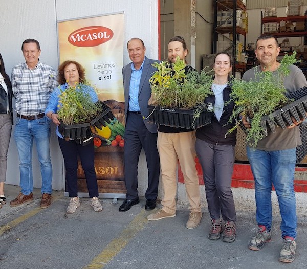 ANSE APROA Vicasol plantas invernaderos