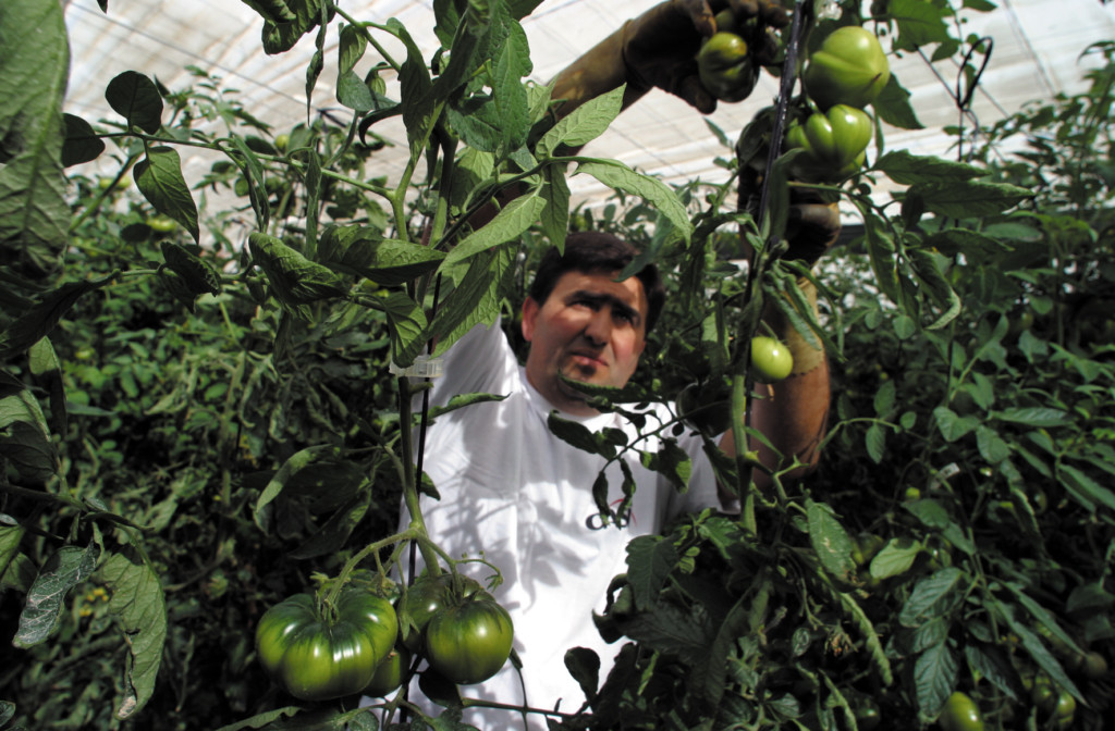 precios agricultores