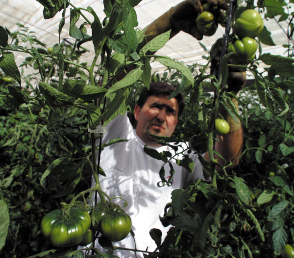 precios agricultores
