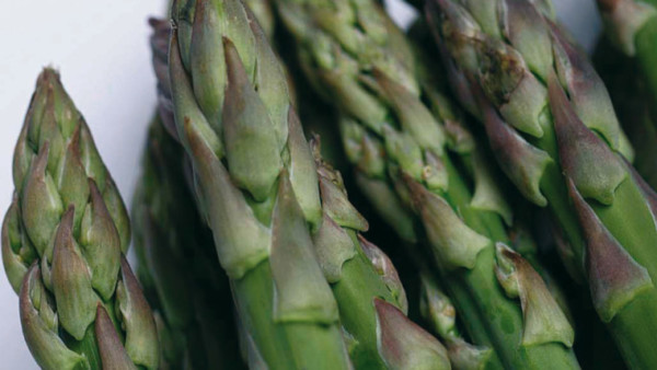 espárrago