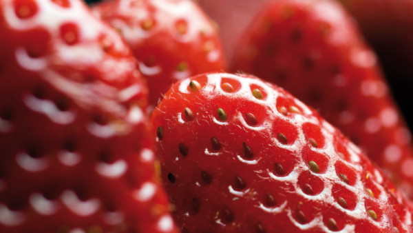 figura calidad frutos rojos