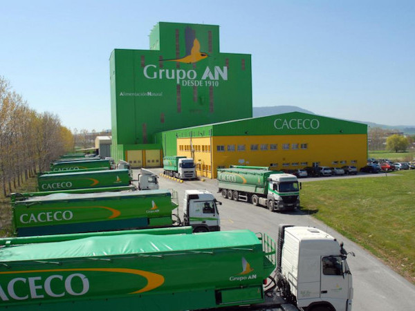 Grupo, AN, frutas, hortalizas, cooperativas