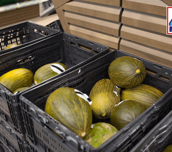 ALDI melón sandía