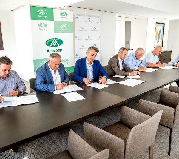 Anecoop huella de carbono