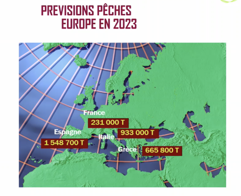 Europa melocotón nectarina