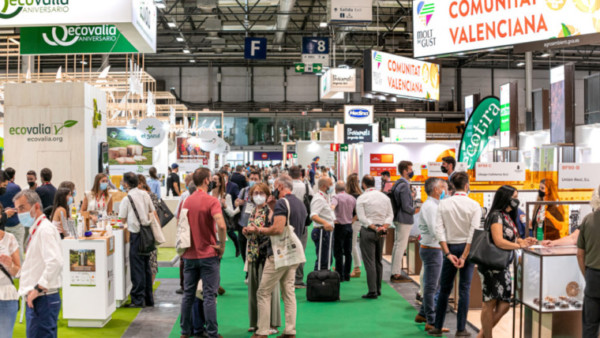 Organic, Food, feria, evento, hoja