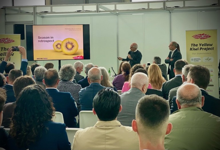 Rivoira Kiwi Amarillo