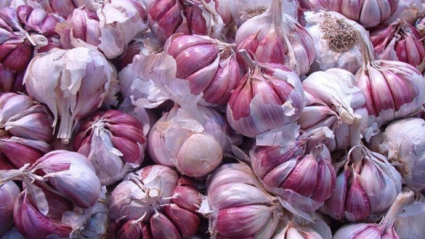 exportación Estados Unidos