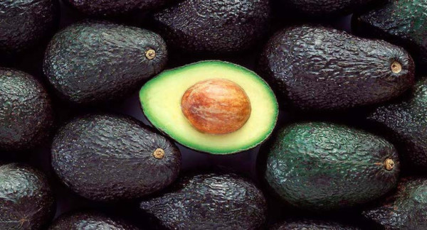 Andalucía aguacates