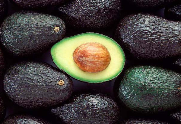 Andalucía aguacates