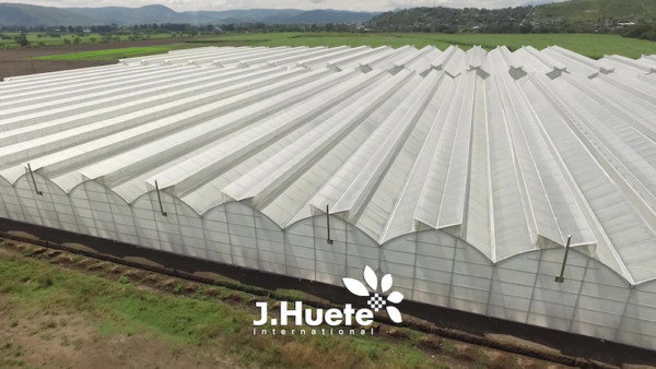 Huete, invernaderos, Senegal