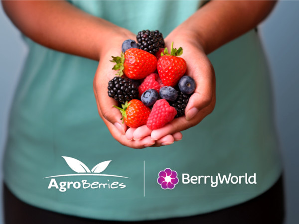 Agroberries BerryWorld