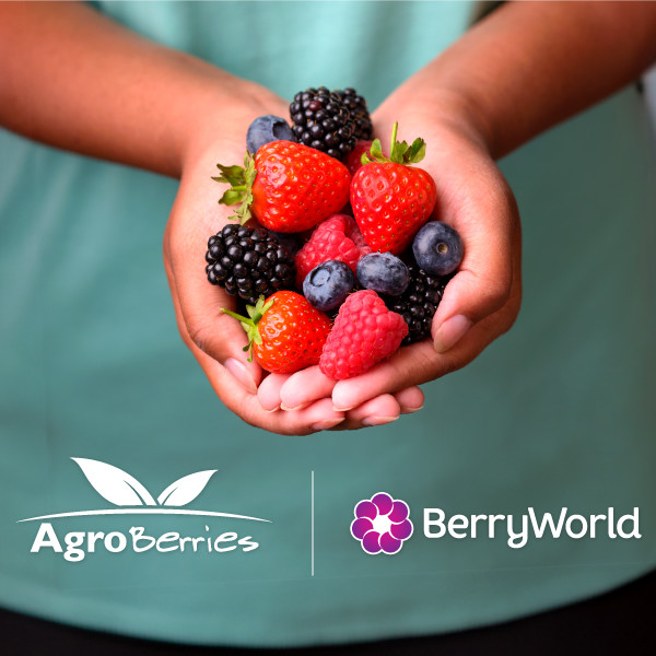 Agroberries BerryWorld